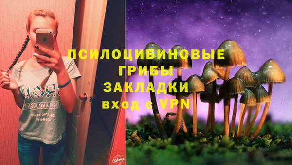 mix Арсеньев